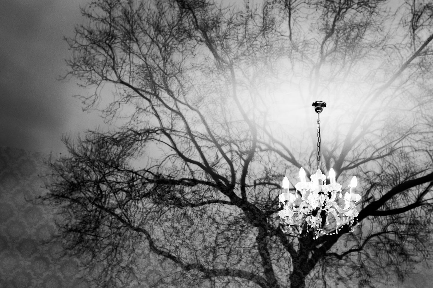 Illusion - Abstrakte Schwarzweiß-Fotografie - Instant High-Res Download