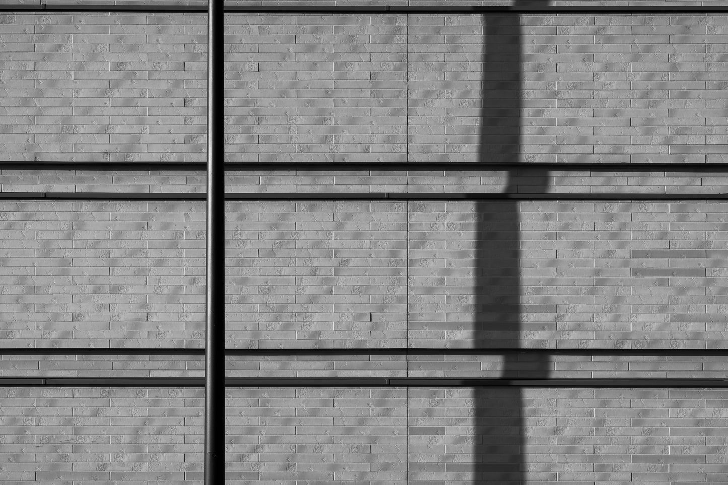 Camel - Abstract Black and White Photography - Instant High-Res Download