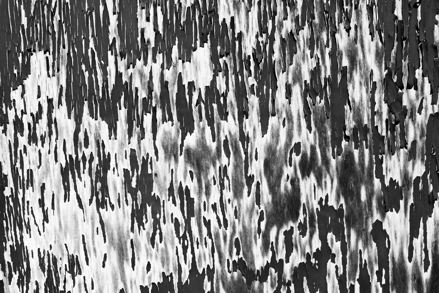 Chipping - Abstrakte Schwarzweiß-Fotografie, Naheinstellung - Instant High-Res Download