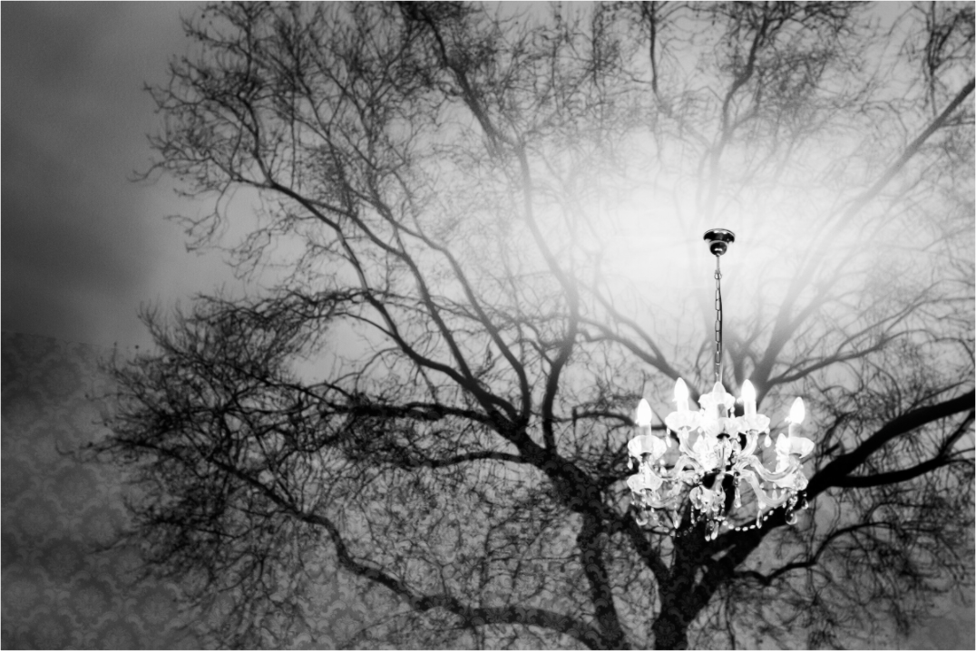Illusion - Abstrakte Schwarzweiß-Fotografie - Hochwertiger Abzug in Galeriequalität
