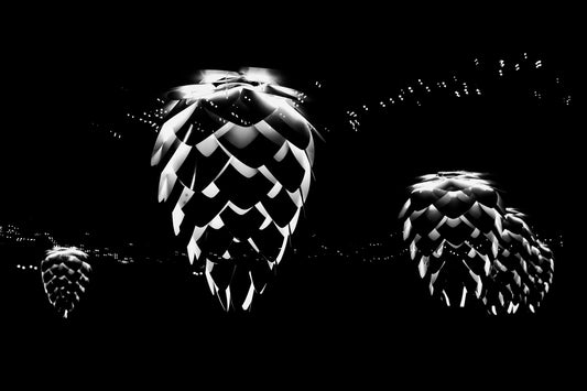Cones - Abstrakte Schwarzweiß-Nachtfotografie - Instant High-Res Download