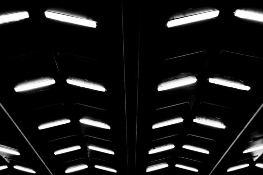 Flock - Abstrakte Schwarzweiß-Nachtfotografie - Instant High-Res Download