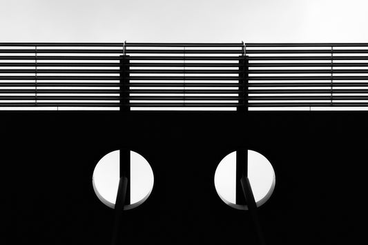 Feline - Black and White Architectural Photography - Instant High-Res Download