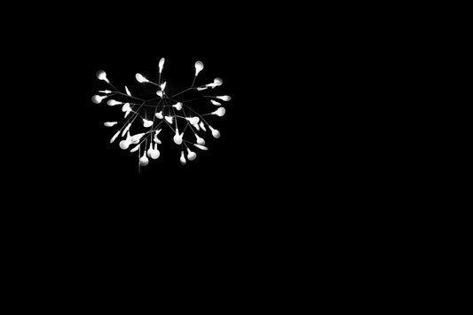 Fireworks - Abstrakte Minimalistische Schwarzweiß-Fotografie - Instant High-Res Download