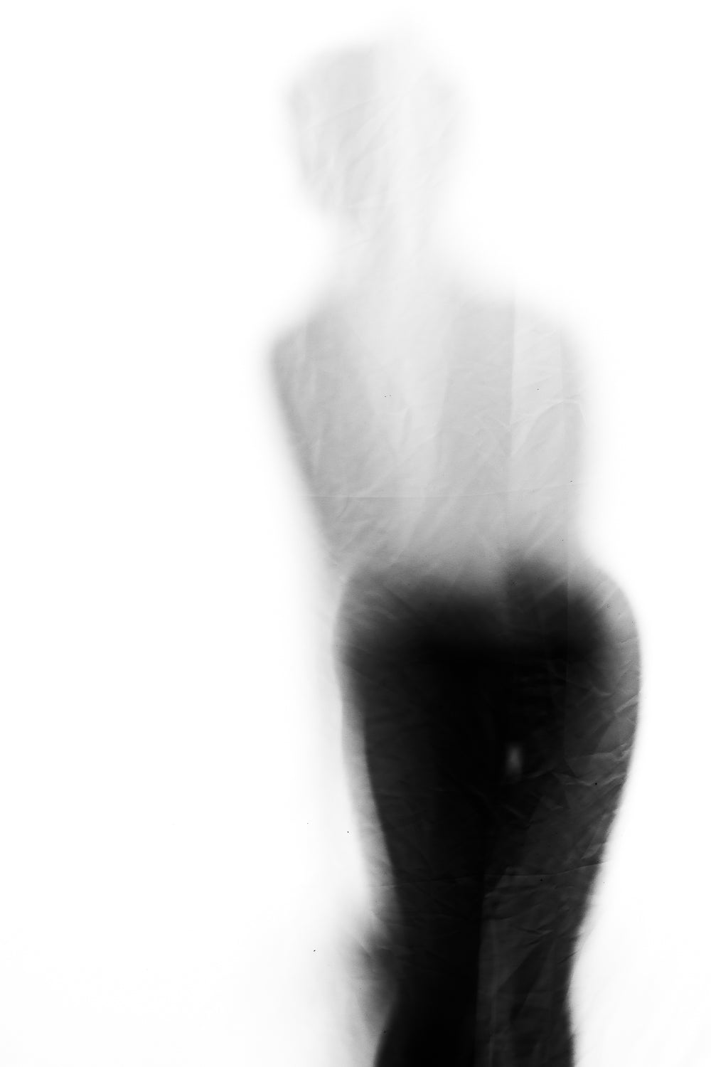 Veil - Abstract Black and White Photography - Partial Nude - Instant High-Res Download
