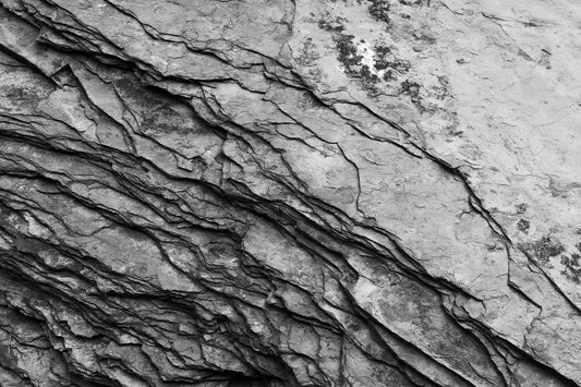Crust - Schwarzweiß-Fotografie, Naheinstellung - Instant High-Res Download