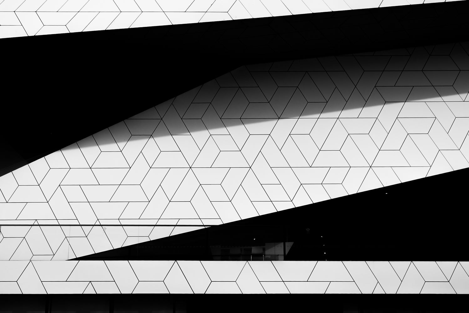 Black and White Photo Art - High-Resolution Digital Download – Native ...