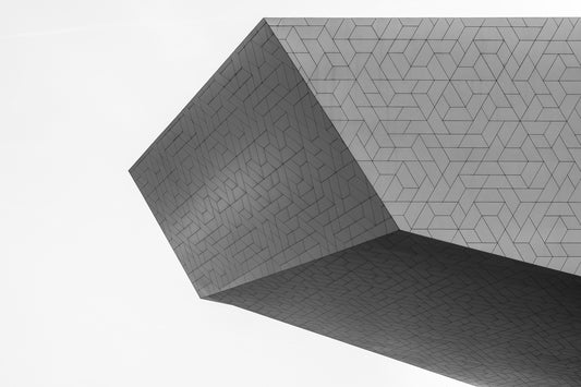 Intruder - Schwarzweiß-Architekturfotografie - Instant High-Res Download