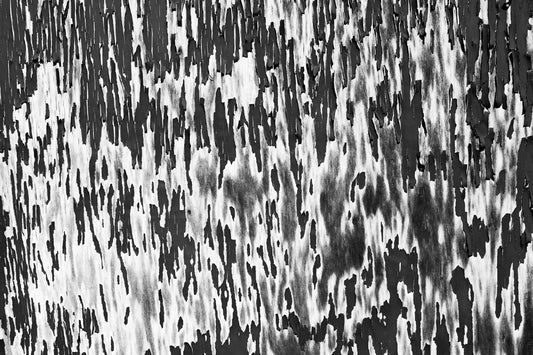  Naheinstellung - Instant High-Res Download