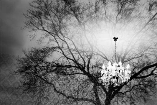 Illusion - Abstrakte Schwarzweiß-Fotografie - Hochwertiger Abzug in Galeriequalität
