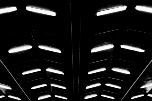Flock - Abstrakte Schwarzweiß-Nachtfotografie - Hochwertiger Abzug in Galeriequalität