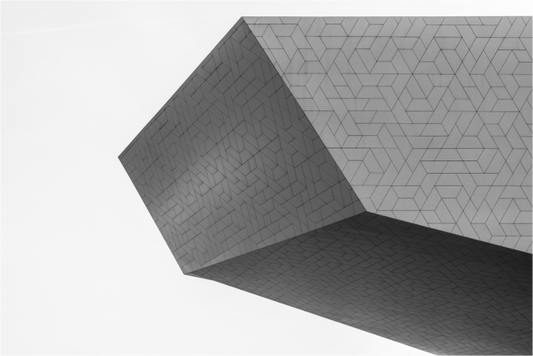 Main image Intruder - Schwarzweiß-Architekturfotografie - Hochwertiger Abzug in Galeriequalität