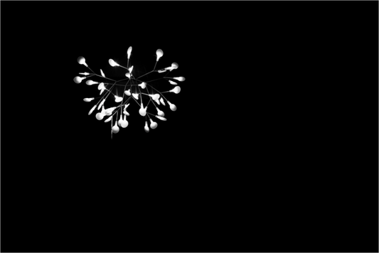 Fireworks - Abstrakte Minimalistische Schwarzweiß-Fotografie - Hochwertiger Abzug in Galeriequalität