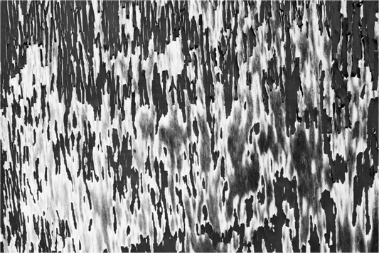 Chipping - Abstrakte Schwarzweiß-Fotografie, Nahaufnahme - Hochwertiger Abzug in Galeriequalität