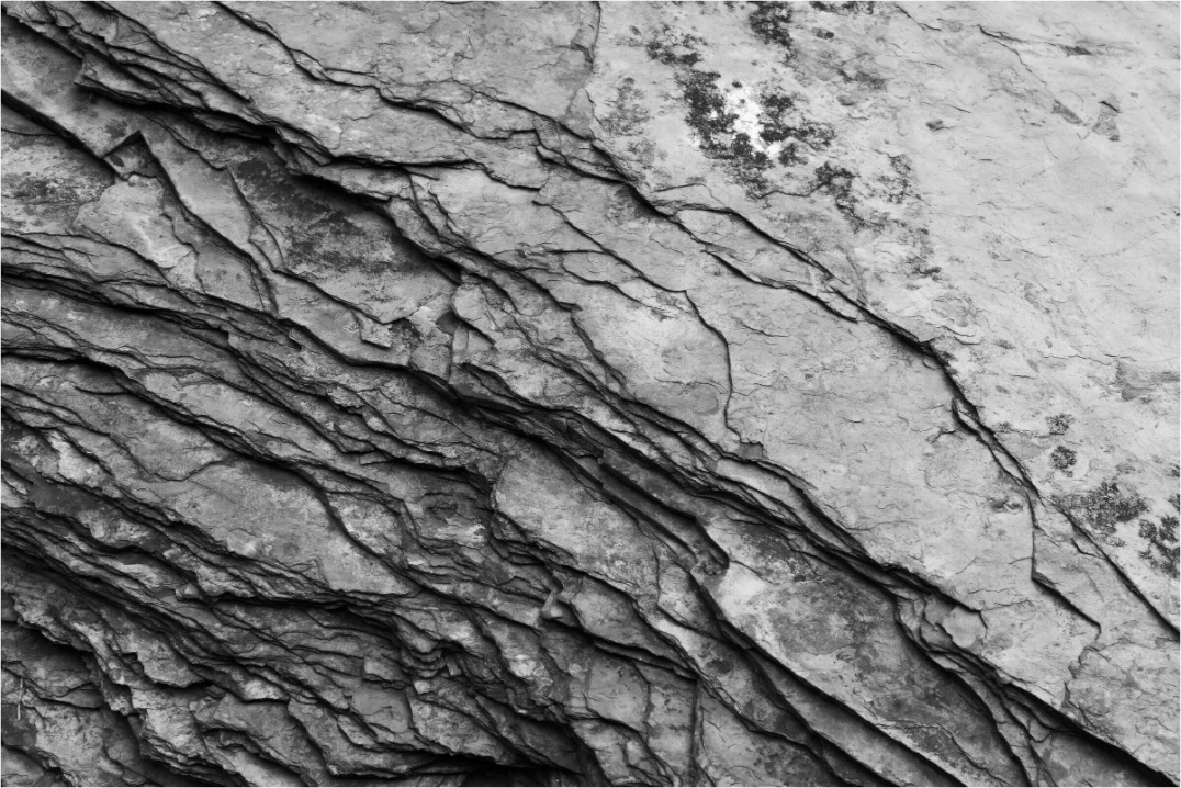 Crust - Schwarzweiß-Fotografie, Naheinstellung - Hochwertiger Abzug in Galeriequalität
