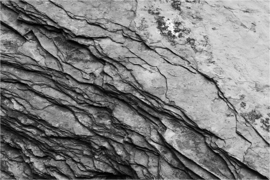 Crust - Schwarzweiß-Fotografie, Naheinstellung - Hochwertiger Abzug in Galeriequalität